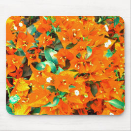 Levande apelsinblommor av bougainvillea musmatta