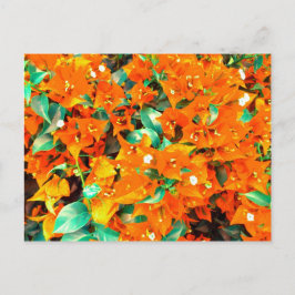 Levande apelsinblommor av bougainvillea vykort