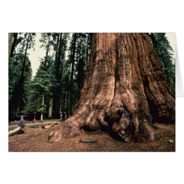 Levande berg hälsningskort (Framsidan Horizontal)