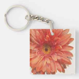Levande Daisy