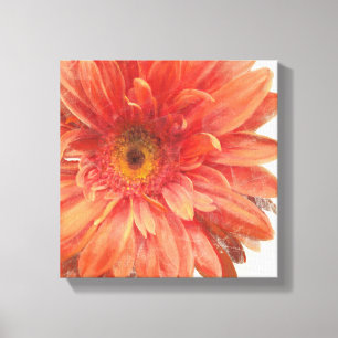 Levande Daisy 3 Canvastryck
