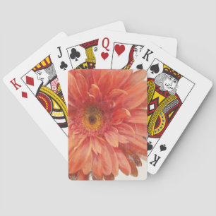 Levande Daisy Casinokort