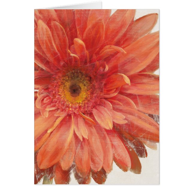 Levande Daisy Hälsningskort (Framsidan)