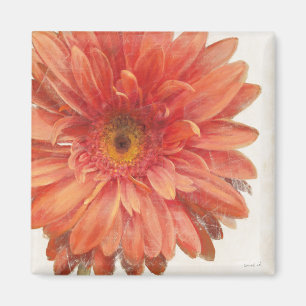 Levande Daisy Magnet