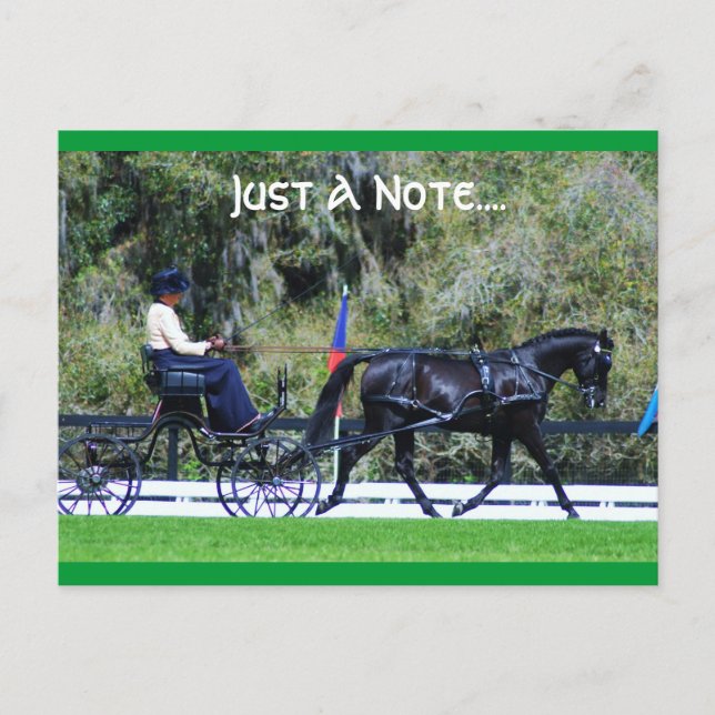 levande ekkod vykort (Framsida)