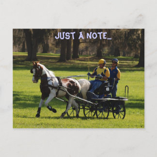 Levande ekkod vykort