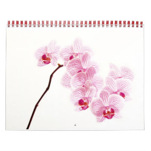 Levande Färg Kalender