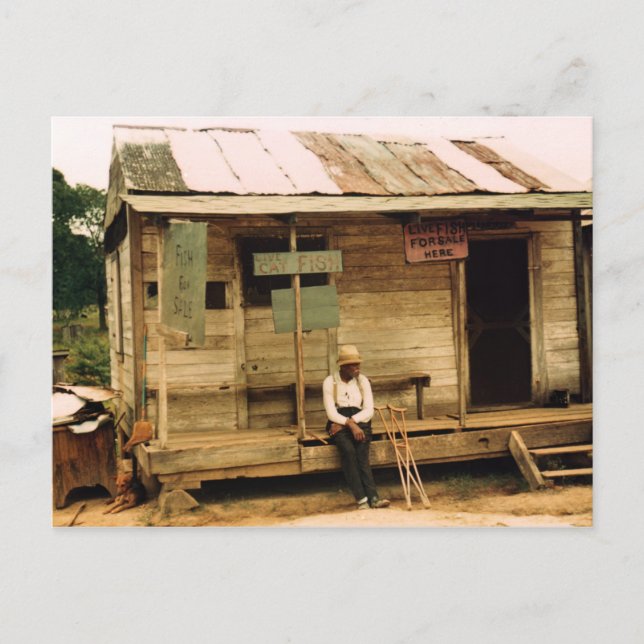 Levande fisk för försäljning vykort (Framsida)