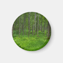 Levande Grön Skog Serenitet Magnet