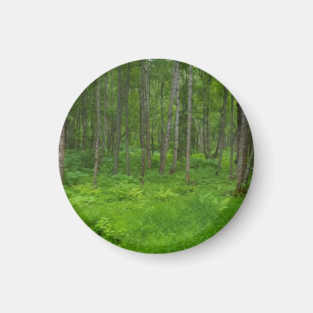 Levande Grön Skog Serenitet Magnet (Framsidan)