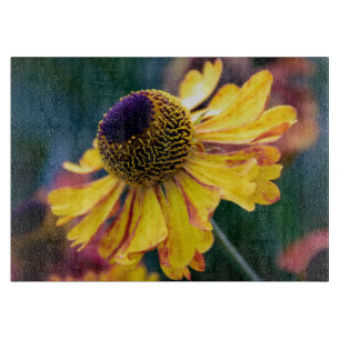 Levande Gult Helenium med Lila Center