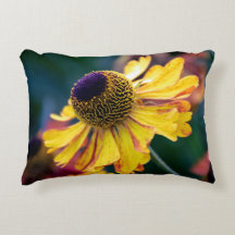 Levande Gult Helenium med Lila Center