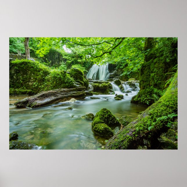 Levande i Harmony Poster (Framsidan)