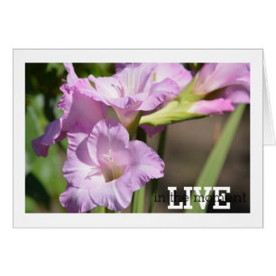 Levande i Moment Gladiolus Hälsningskort