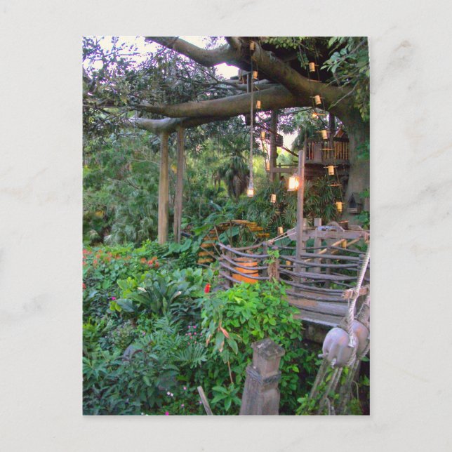 Levande i Träd Vykort (Framsida)