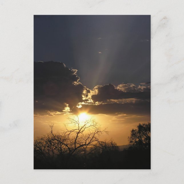 Levande konstvy Postkort Vykort (Framsida)