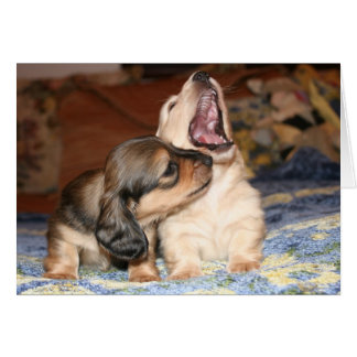 Levande, Laugh, Kärlek Hälsningskort