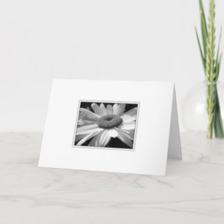 Levande, Laugh, Kärlek Kort