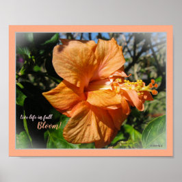 Levande liv i Fullt Bloom Blommigt Hibiscus Poster