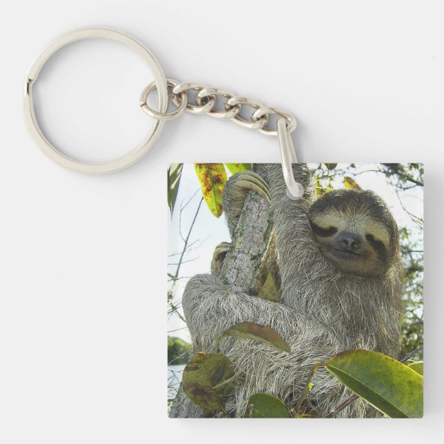 Levande liv som en Sloth (Framsidan)