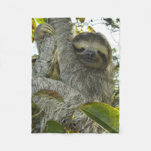 Levande liv som en Sloth Fleecefilt