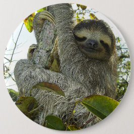 Levande liv som en Sloth Knapp