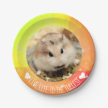 Levande liv till Fullest - Hammyville Hamsters