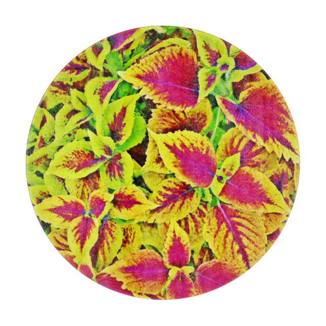 Levande Löv Mönster Dance (Framsidan)