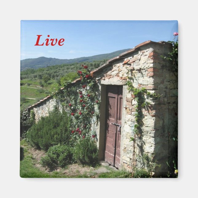 Levande Magnet (Framsidan)