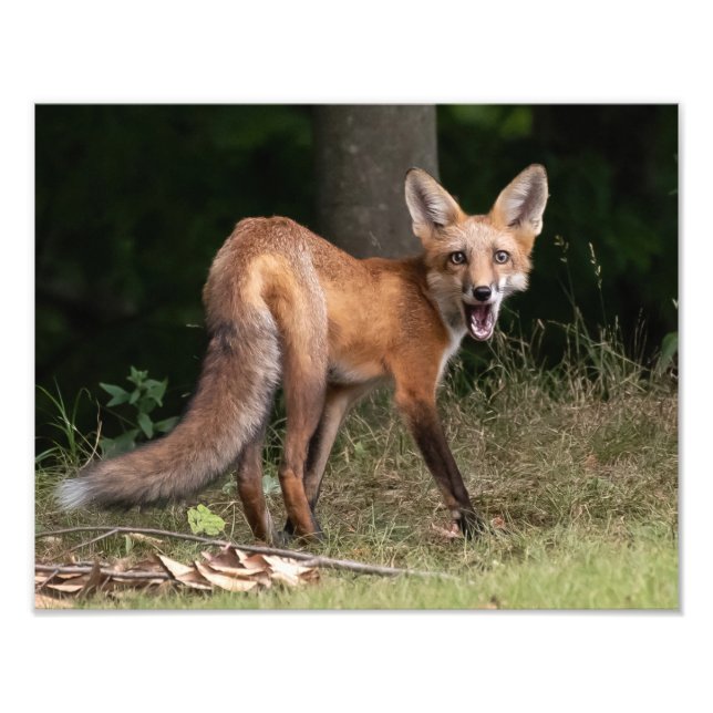 Levande med själ fototryck (Framsidan)