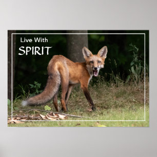 Levande med spritts Poster