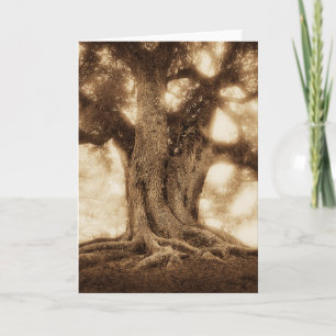 Levande Oak - MW1101 Kort