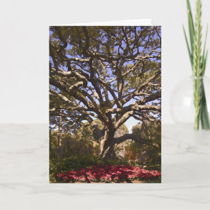 Levande Oak och julstjärnor Helgkort