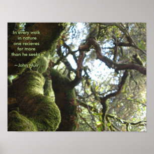 Levande OaksMuir citationstecken Poster