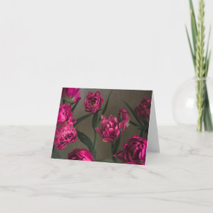 Levande och eleganta magenta tulpaner, finkonstfot kort