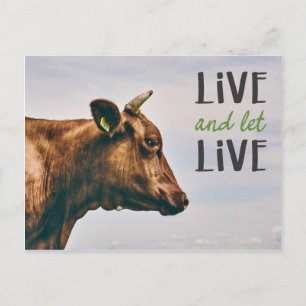 Levande och låt levande vegan med brun ko vykort