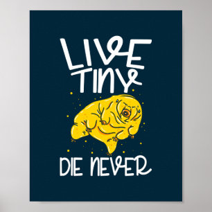 Levande regnig due Aldrig Vatten Bear Poster