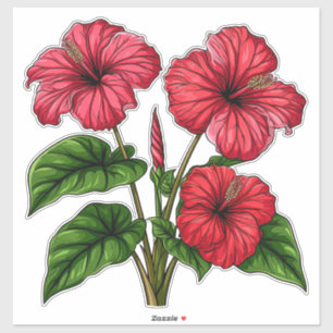 Levande röda hibiskusblommor med frodiga gröna bla klistermärken