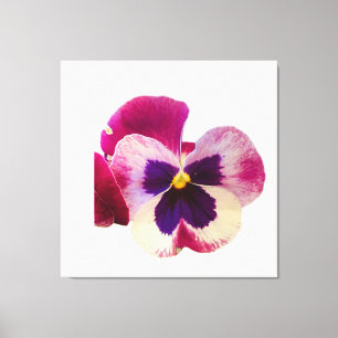 Levande rosa och lila penséblomma fotoduk canvastryck