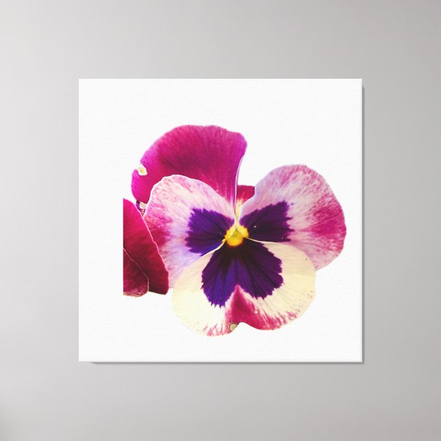 Levande rosa och lila penséblomma fotoduk  canvastryck (Framsida)
