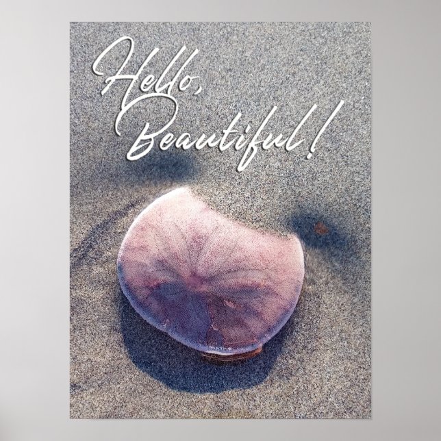 Levande sanddollar-foto Hej vacker affisch (Framsidan)