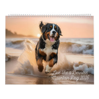 Levande som en Bernese 2025 Wall Calendar Kalender