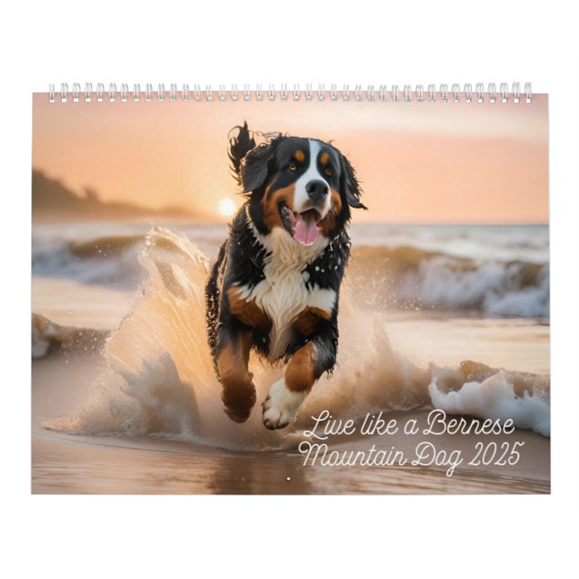 Levande som en Bernese 2025 Wall Calendar Kalender (Omslag)
