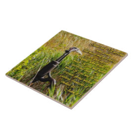 Levande Vatten John 4 Idéational Kakelplatta