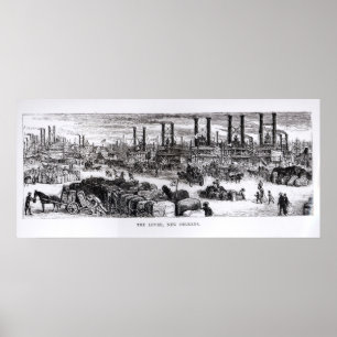Levee, New Orleans Poster