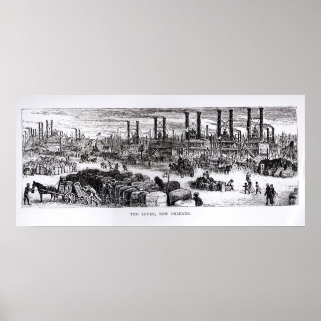 Levee, New Orleans Poster (Framsidan)