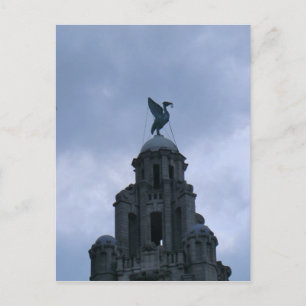 Lever Bird in Liverpool Vykort