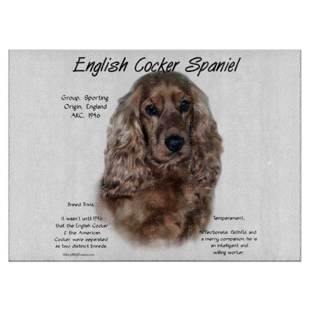 Lever English Cocker Spain History (Framsidan)