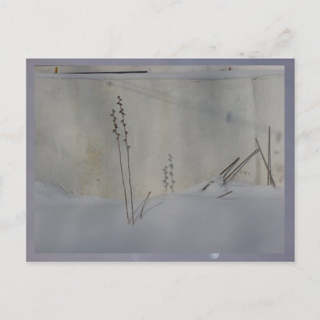 lever fortfarande på vintern vit vykort (Framsida)