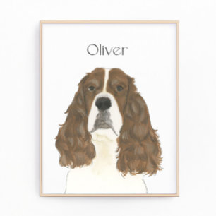 Lever & White English Springer Spain Art Fototryck